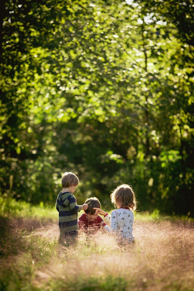Three children sitting together in a sunny field of tall grass